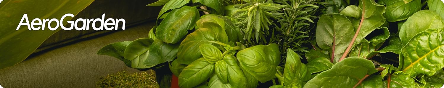 AeroGarden | Enjoy Fresh Harvest on Your Countertop
