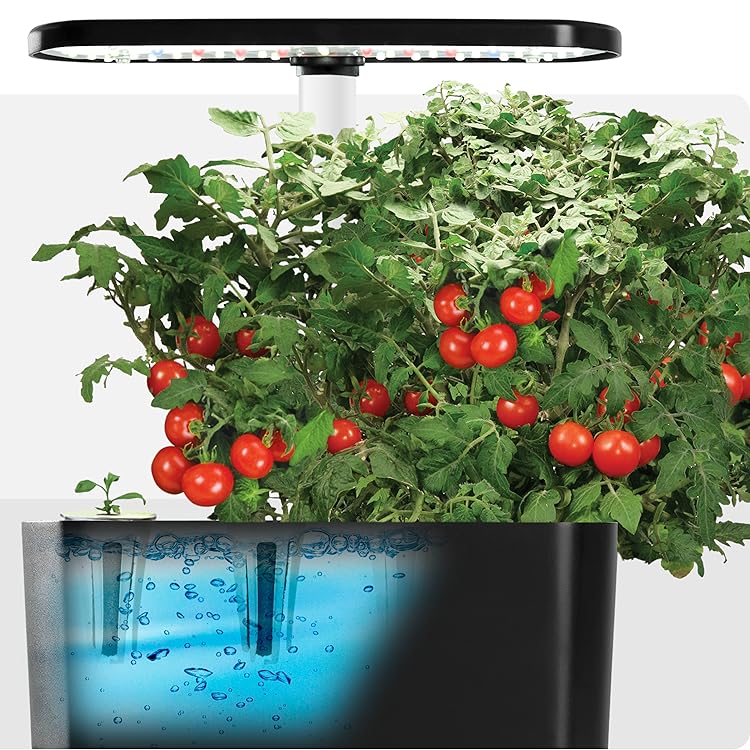 AeroGarden | Enjoy Fresh Harvest on Your Countertop
