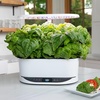 image:imageAeroGarden Bounty White